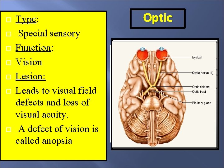  Type: Special sensory Function: Vision Lesion: Leads to visual field defects and loss