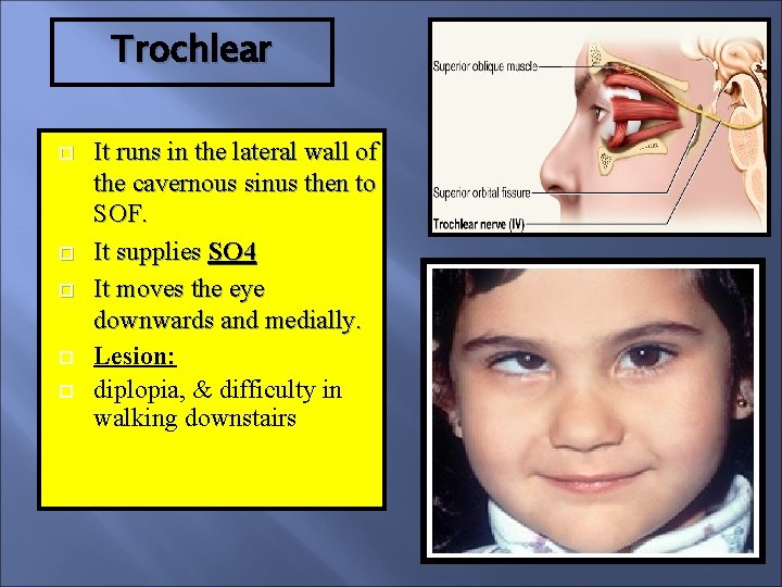 Trochlear It runs in the lateral wall of the cavernous sinus then to SOF.