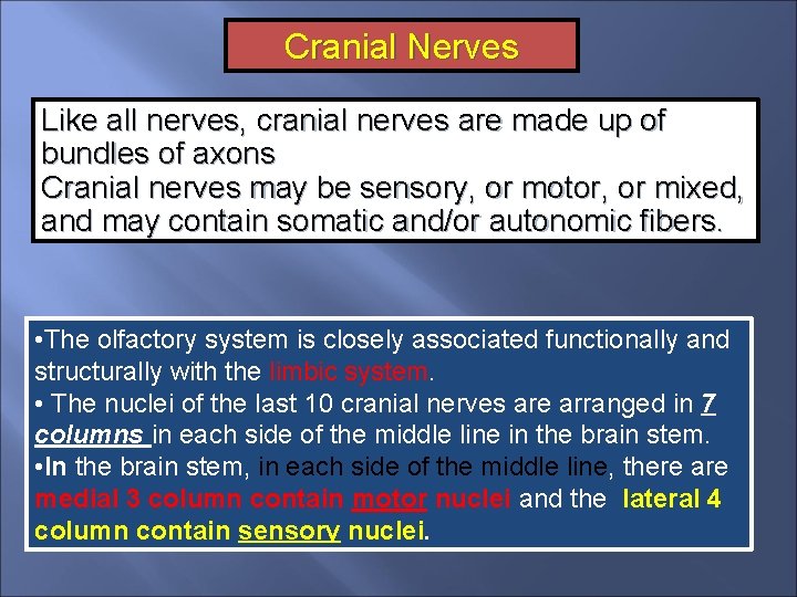 Cranial Nerves Like all nerves, cranial nerves are made up of bundles of axons