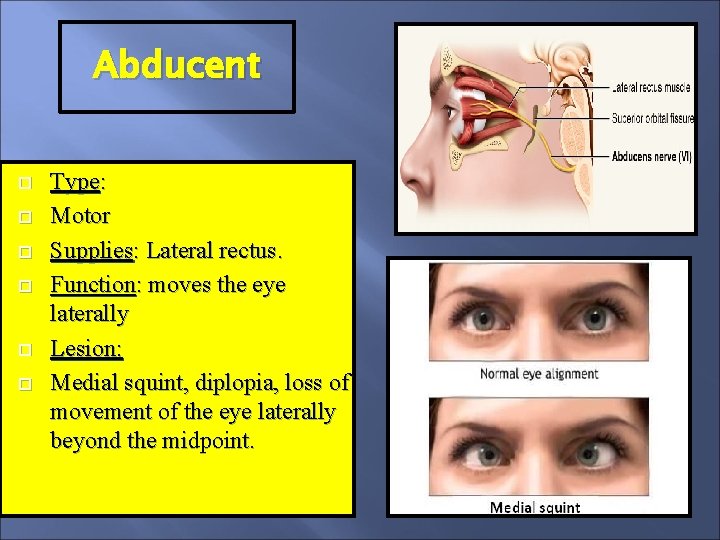 Abducent Type: Motor Supplies: Lateral rectus. Function: moves the eye laterally Lesion: Medial squint,