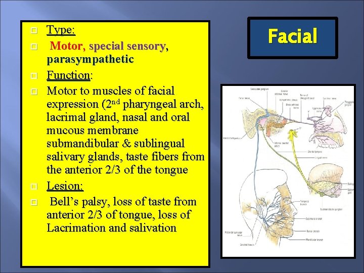  Type: Motor, special sensory, parasympathetic Function: Motor to muscles of facial expression (2