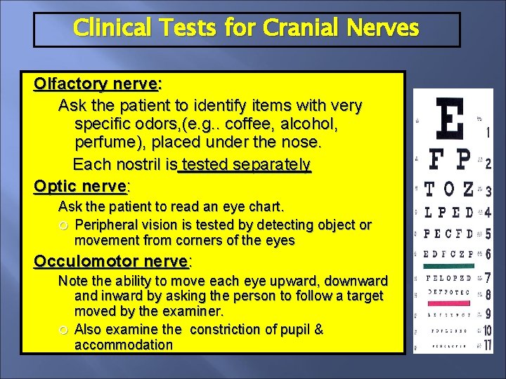 Clinical Tests for Cranial Nerves Olfactory nerve: Ask the patient to identify items with