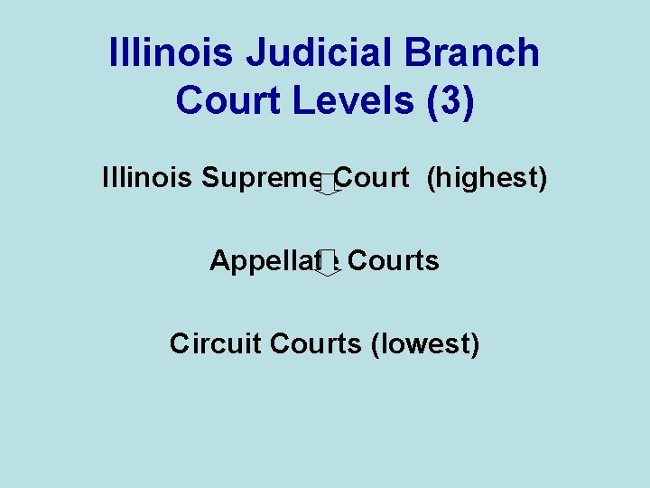 Illinois Judicial Branch Court Levels (3) Illinois Supreme Court (highest) Appellate Courts Circuit Courts