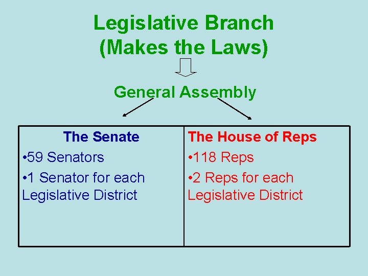 Legislative Branch (Makes the Laws) General Assembly The Senate • 59 Senators • 1