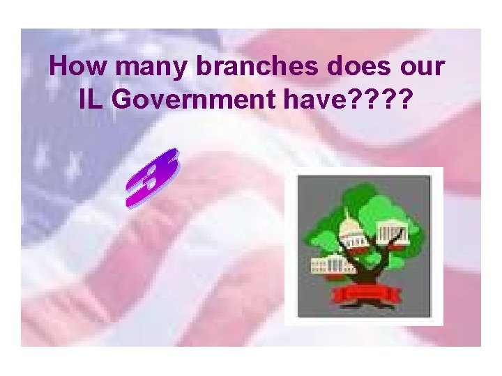 How many branches does our IL Government have? ? 