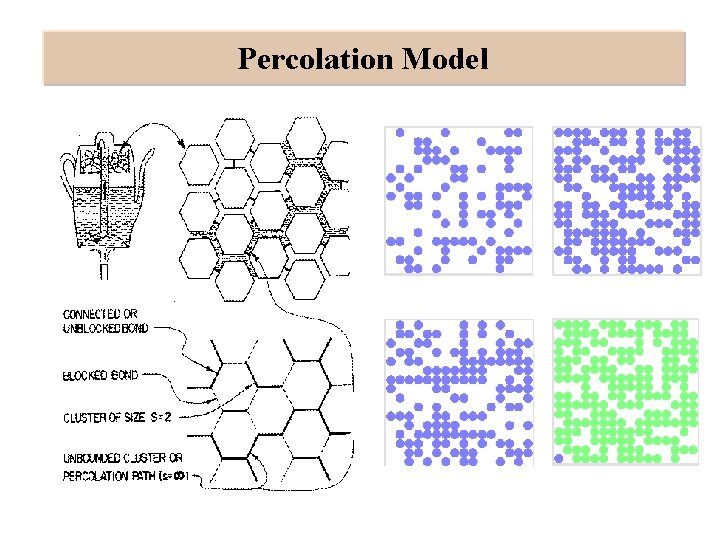 Percolation Model 