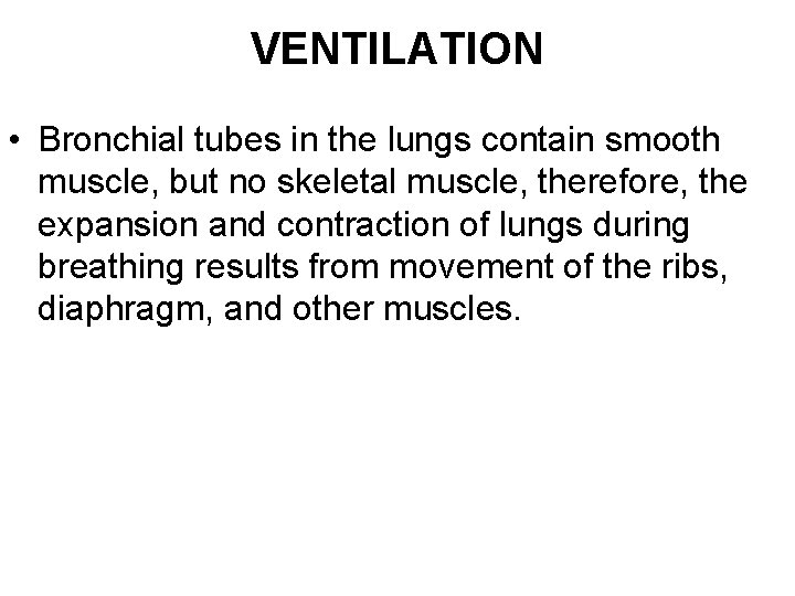 VENTILATION • Bronchial tubes in the lungs contain smooth muscle, but no skeletal muscle,