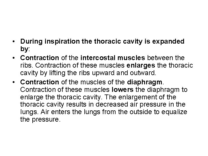  • During inspiration the thoracic cavity is expanded by: • Contraction of the