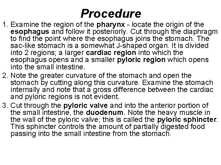 Procedure 1. Examine the region of the pharynx - locate the origin of the