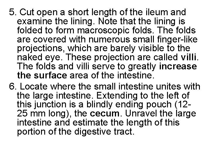 5. Cut open a short length of the ileum and examine the lining. Note