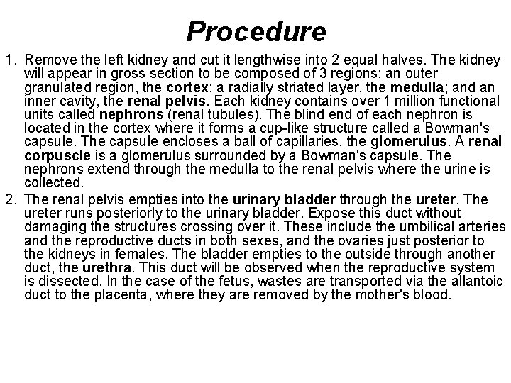 Procedure 1. Remove the left kidney and cut it lengthwise into 2 equal halves. Procedure 1. Remove the left kidney and cut it lengthwise into 2 equal halves.