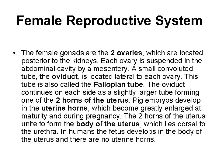 Female Reproductive System • The female gonads are the 2 ovaries, which are located