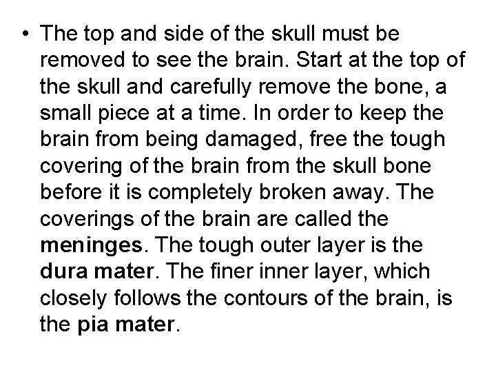  • The top and side of the skull must be removed to see