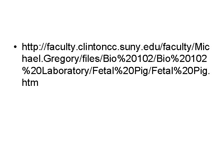  • http: //faculty. clintoncc. suny. edu/faculty/Mic hael. Gregory/files/Bio%20102 %20 Laboratory/Fetal%20 Pig. htm 