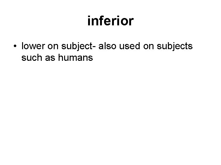 inferior • lower on subject- also used on subjects such as humans 