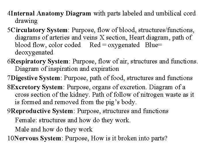 4 Internal Anatomy Diagram with parts labeled and umbilical cord drawing 5 Circulatory System: 4 Internal Anatomy Diagram with parts labeled and umbilical cord drawing 5 Circulatory System: