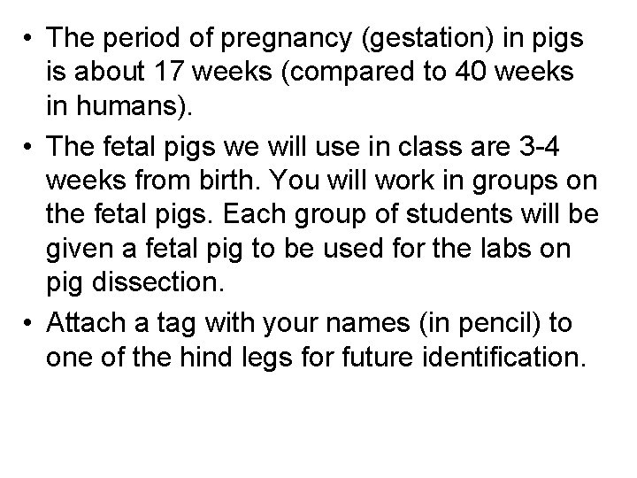 • The period of pregnancy (gestation) in pigs is about 17 weeks (compared • The period of pregnancy (gestation) in pigs is about 17 weeks (compared