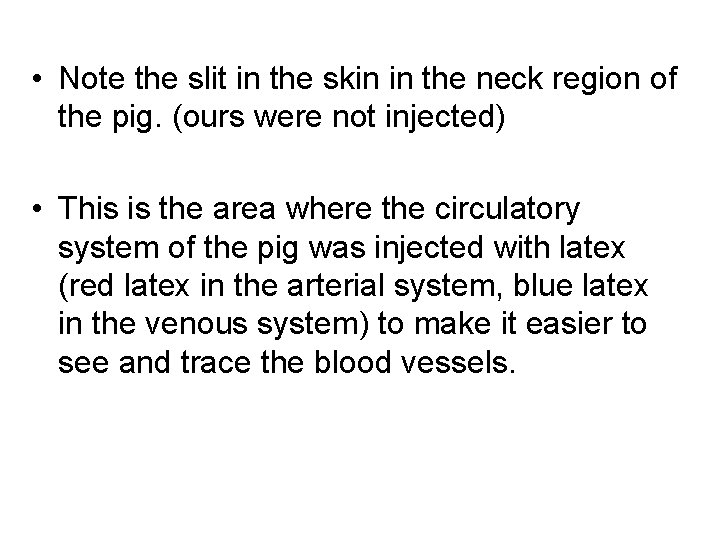 • Note the slit in the skin in the neck region of the • Note the slit in the skin in the neck region of the