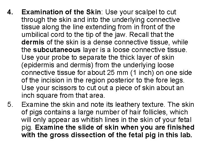4. 5. Examination of the Skin: Use your scalpel to cut through the skin