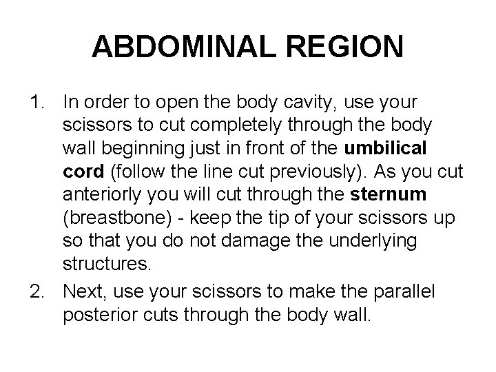 ABDOMINAL REGION 1. In order to open the body cavity, use your scissors to