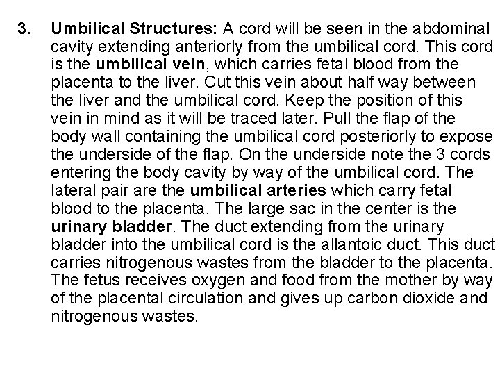 3. Umbilical Structures: A cord will be seen in the abdominal cavity extending anteriorly 3. Umbilical Structures: A cord will be seen in the abdominal cavity extending anteriorly