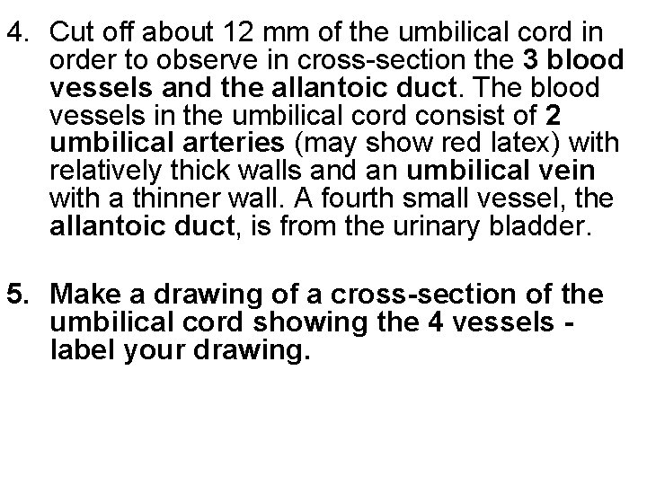4. Cut off about 12 mm of the umbilical cord in order to observe 4. Cut off about 12 mm of the umbilical cord in order to observe