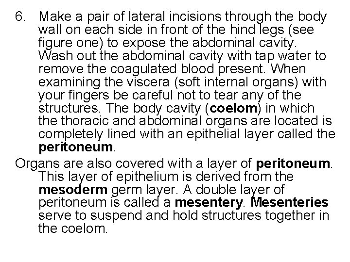 6. Make a pair of lateral incisions through the body wall on each side 6. Make a pair of lateral incisions through the body wall on each side