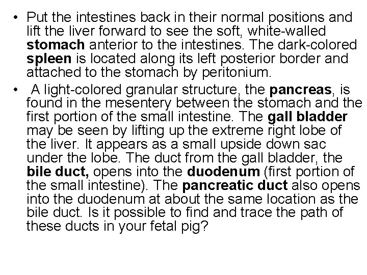 • Put the intestines back in their normal positions and lift the liver • Put the intestines back in their normal positions and lift the liver