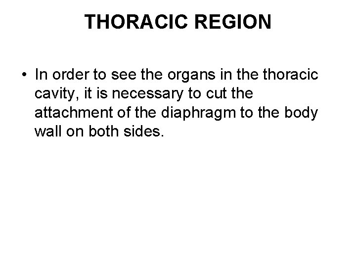 THORACIC REGION • In order to see the organs in the thoracic cavity, it THORACIC REGION • In order to see the organs in the thoracic cavity, it