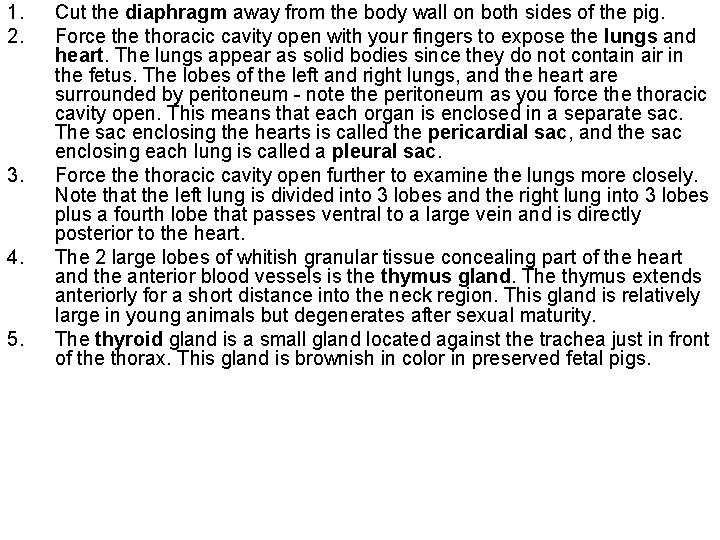 1. 2. 3. 4. 5. Cut the diaphragm away from the body wall on