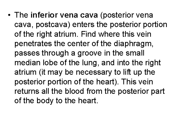  • The inferior vena cava (posterior vena cava, postcava) enters the posterior portion