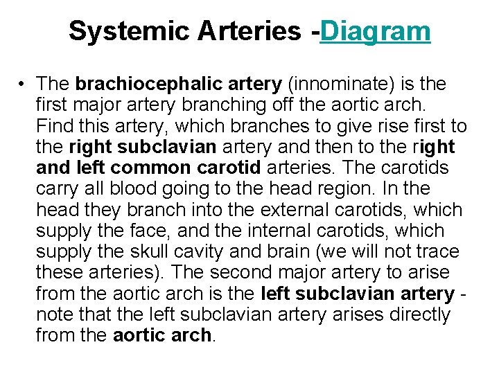 Systemic Arteries -Diagram • The brachiocephalic artery (innominate) is the first major artery branching Systemic Arteries -Diagram • The brachiocephalic artery (innominate) is the first major artery branching