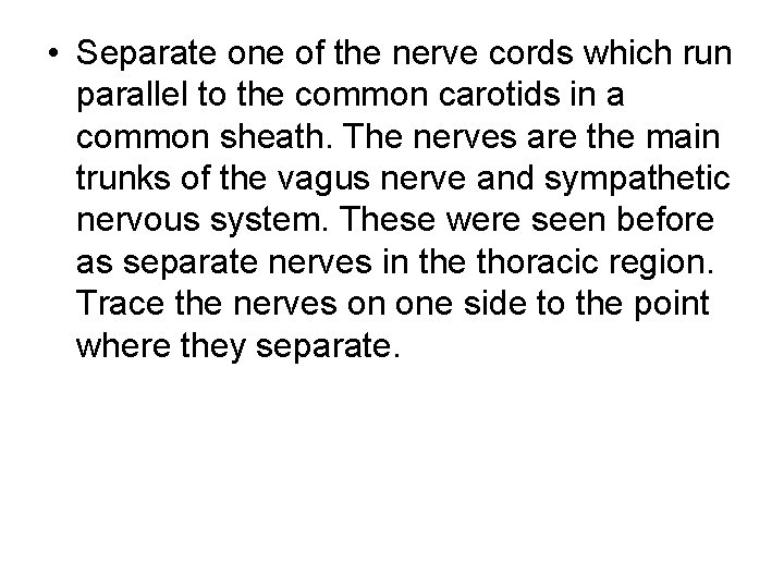 • Separate one of the nerve cords which run parallel to the common • Separate one of the nerve cords which run parallel to the common