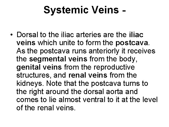 Systemic Veins - • Dorsal to the iliac arteries are the iliac veins which