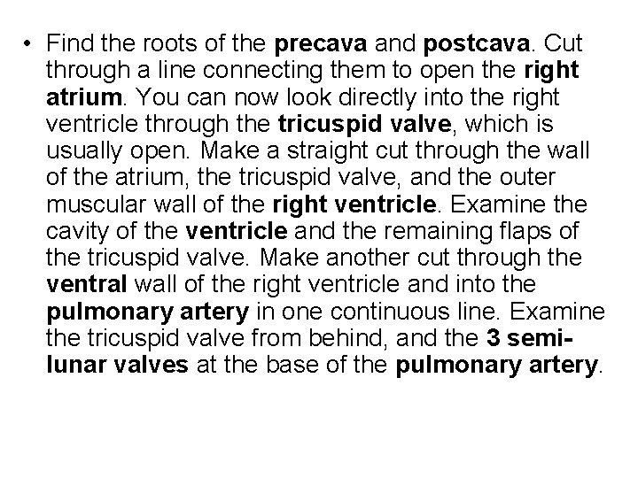 • Find the roots of the precava and postcava. Cut through a line • Find the roots of the precava and postcava. Cut through a line