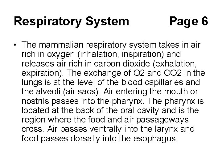 Respiratory System Page 6 • The mammalian respiratory system takes in air rich in