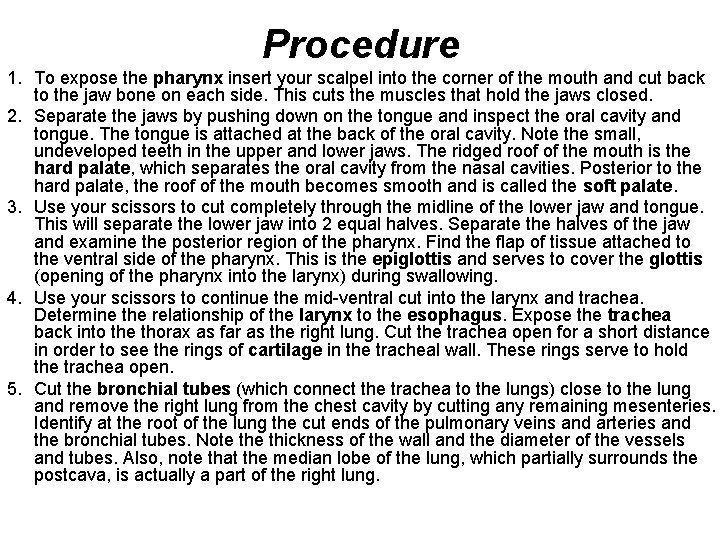 Procedure 1. To expose the pharynx insert your scalpel into the corner of the