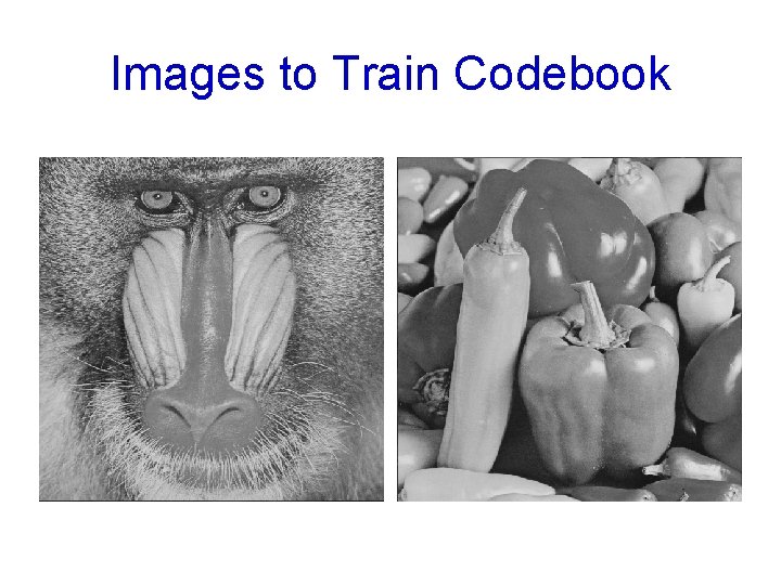 Images to Train Codebook 