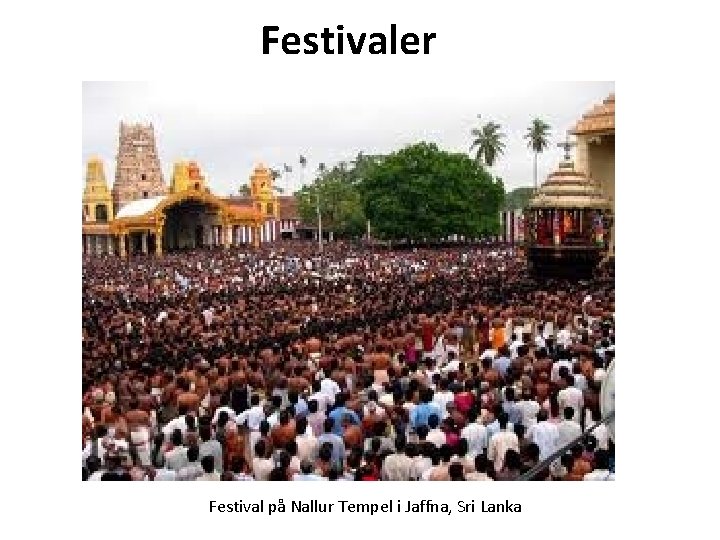 Festivaler Festival på Nallur Tempel i Jaffna, Sri Lanka 