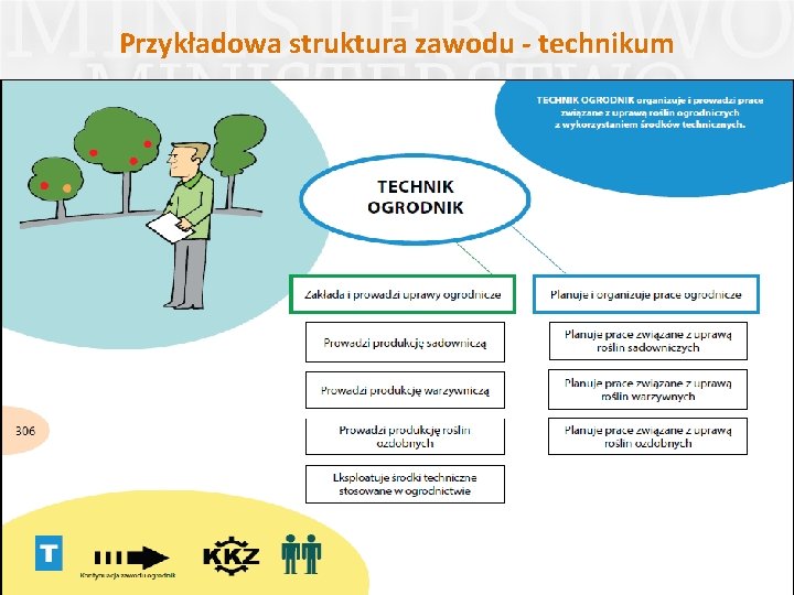 Przykładowa struktura zawodu - technikum 