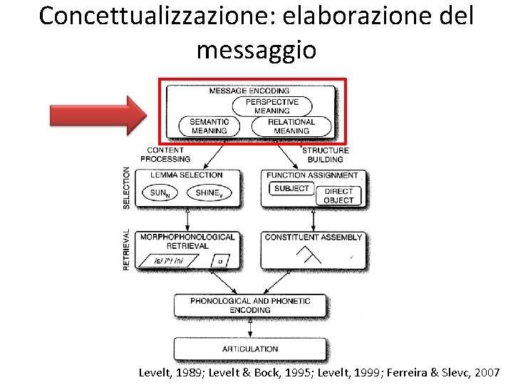 Concettualizzazione: elaborazione del messaggio Levelt, 1989; Levelt & Bock, 1995; Levelt, 1999; Ferreira &