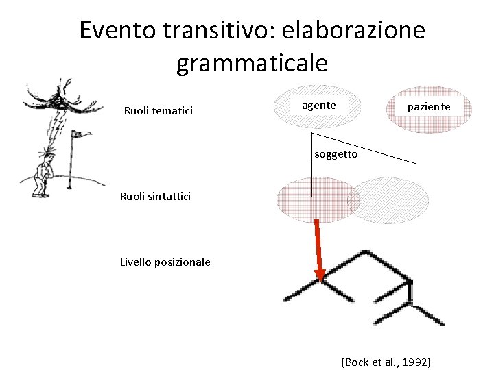 Evento transitivo: elaborazione grammaticale Ruoli tematici agente agent patient paziente soggetto Ruoli sintattici Livello