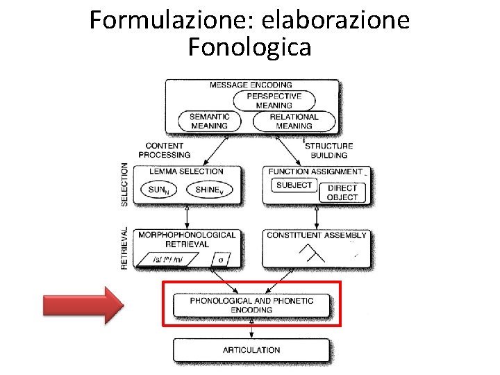 Formulazione: elaborazione Fonologica 