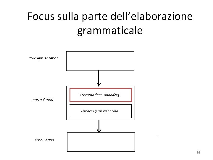 Focus sulla parte dell’elaborazione grammaticale 36 