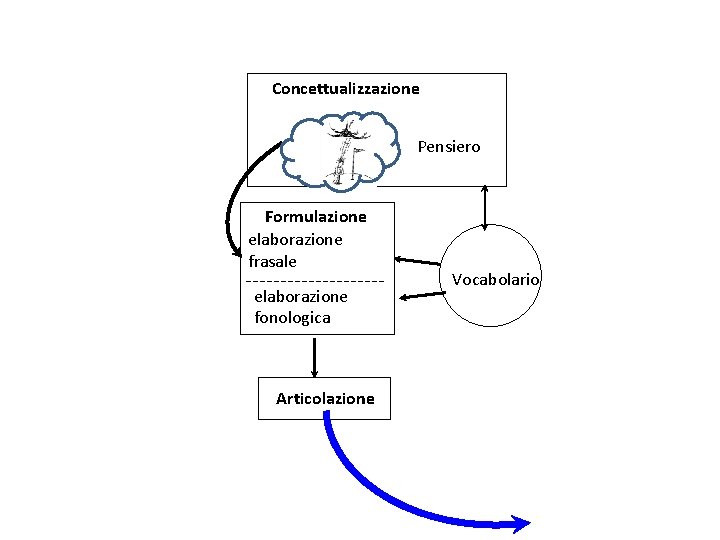 Concettualizzazione Pensiero Formulazione elaborazione frasale elaborazione fonologica Articolazione Vocabolario 