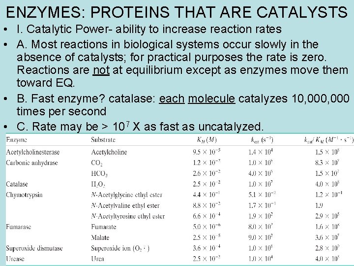 ENZYMES: PROTEINS THAT ARE CATALYSTS • I. Catalytic Power- ability to increase reaction rates