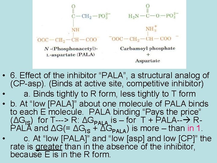  • 6. Effect of the inhibitor “PALA”, a structural analog of (CP-asp). (Binds