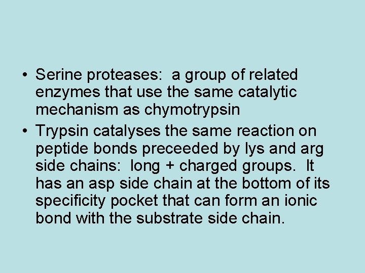  • Serine proteases: a group of related enzymes that use the same catalytic