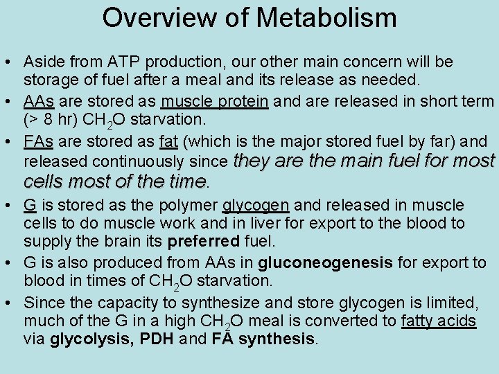 Overview of Metabolism • Aside from ATP production, our other main concern will be