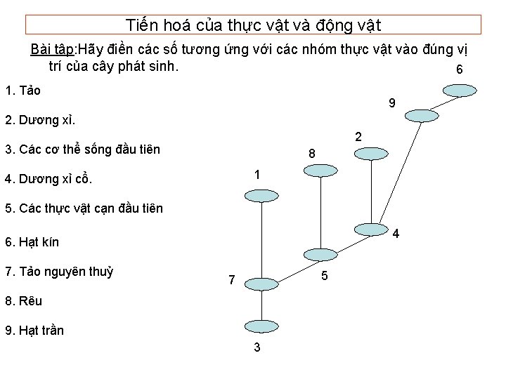 Tiến hoá của thực vật và động vật Bài tập: Hãy điền các số Tiến hoá của thực vật và động vật Bài tập: Hãy điền các số